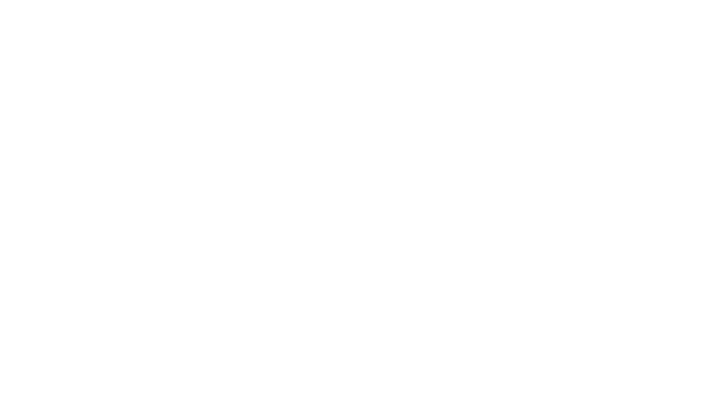 Traumbikes